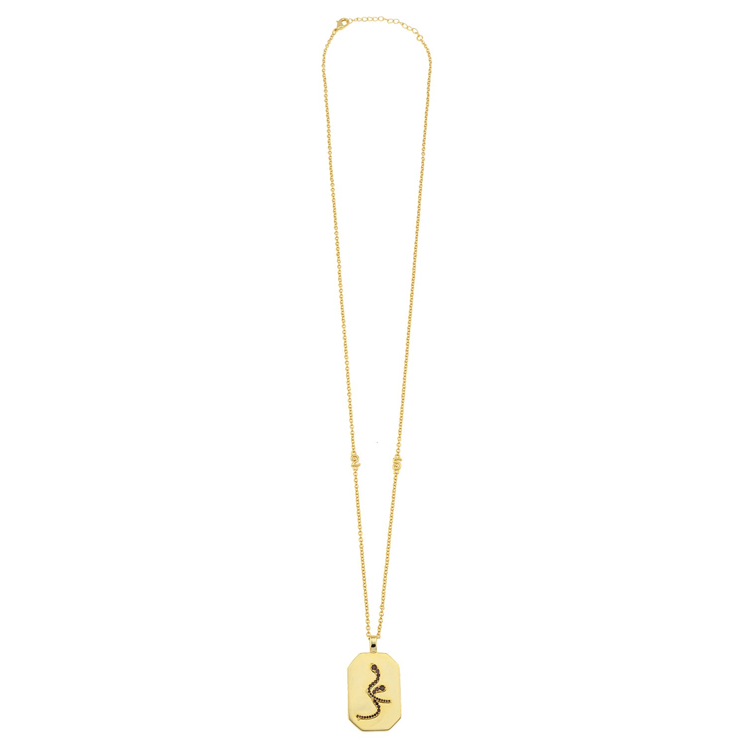 Lucky "25" tag Necklace