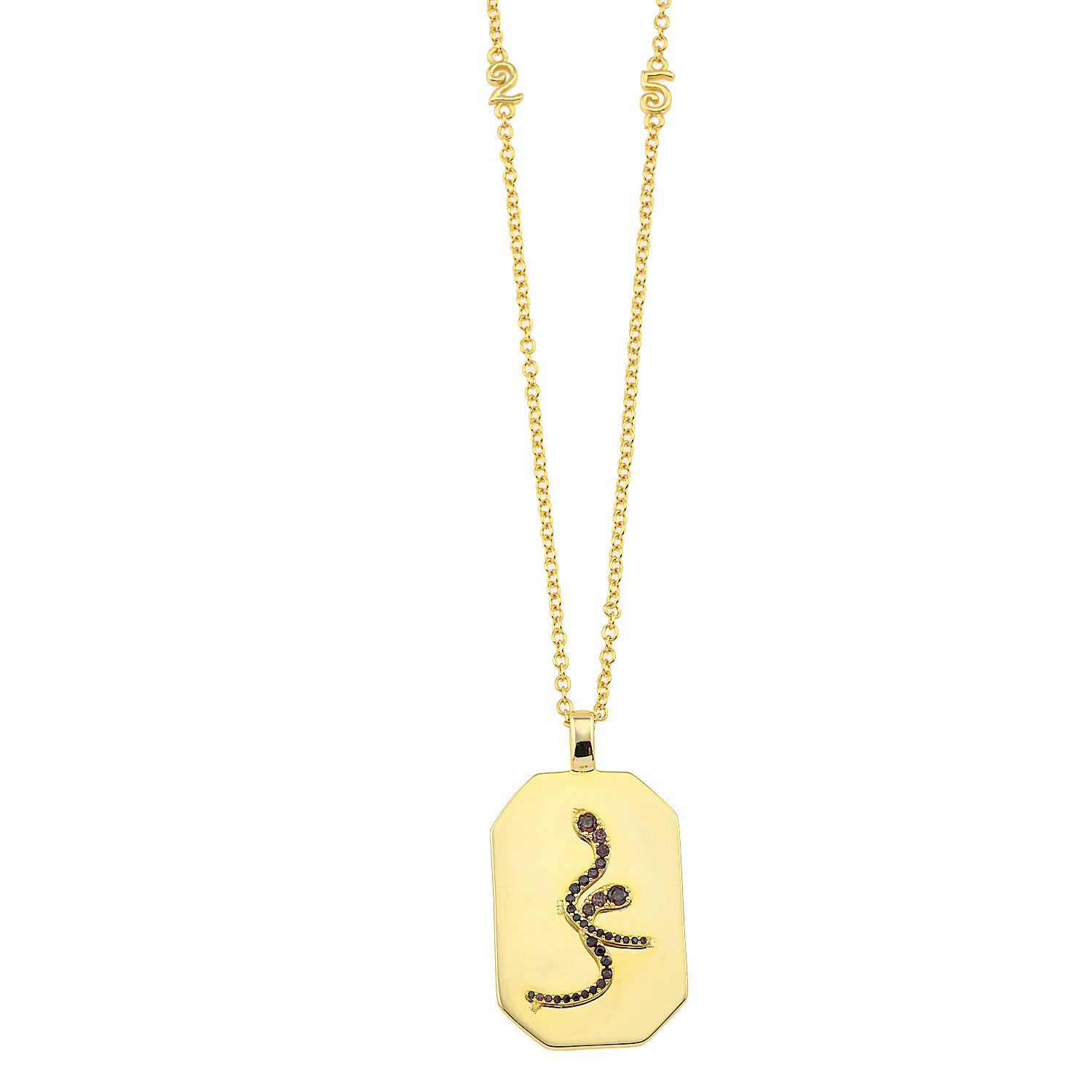 Lucky "25" tag Necklace